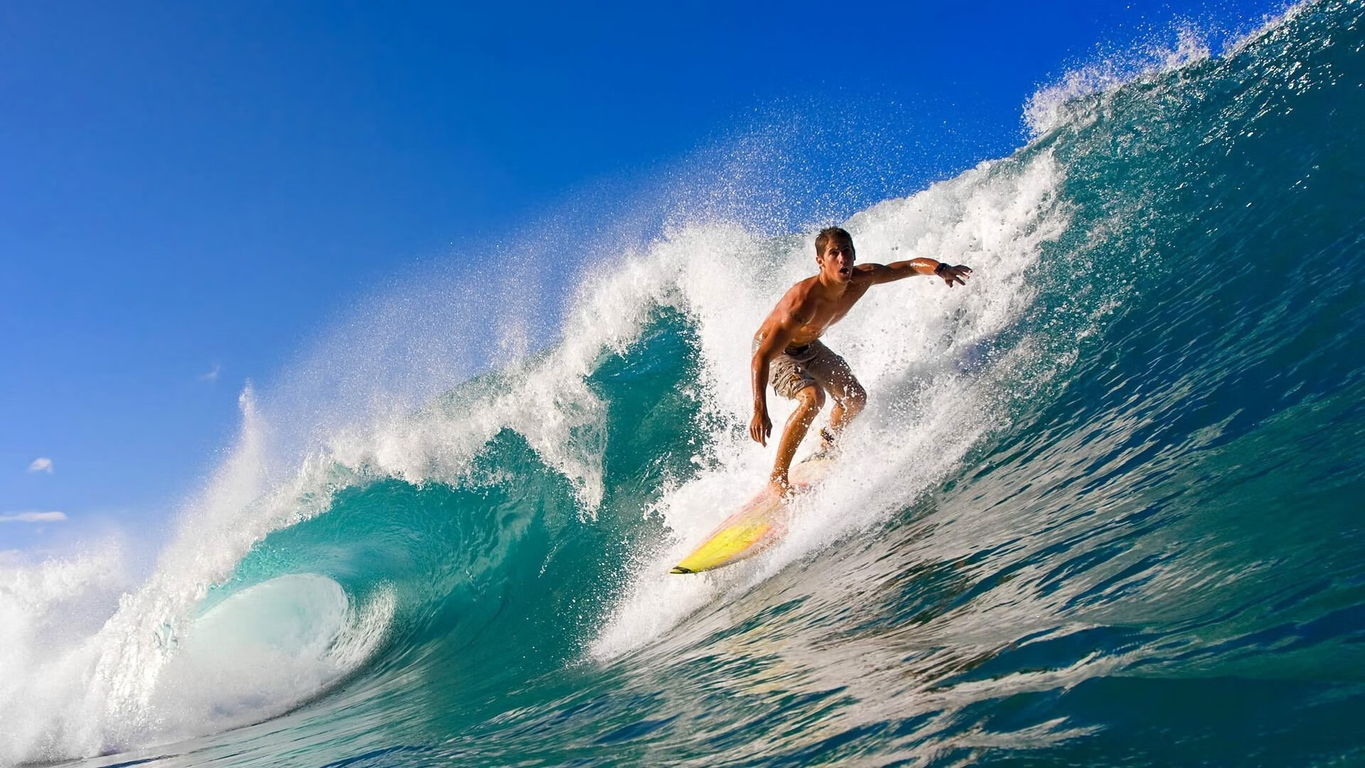 _青少年天文运动节：星空与运动的奇妙结合_，天文活动主题